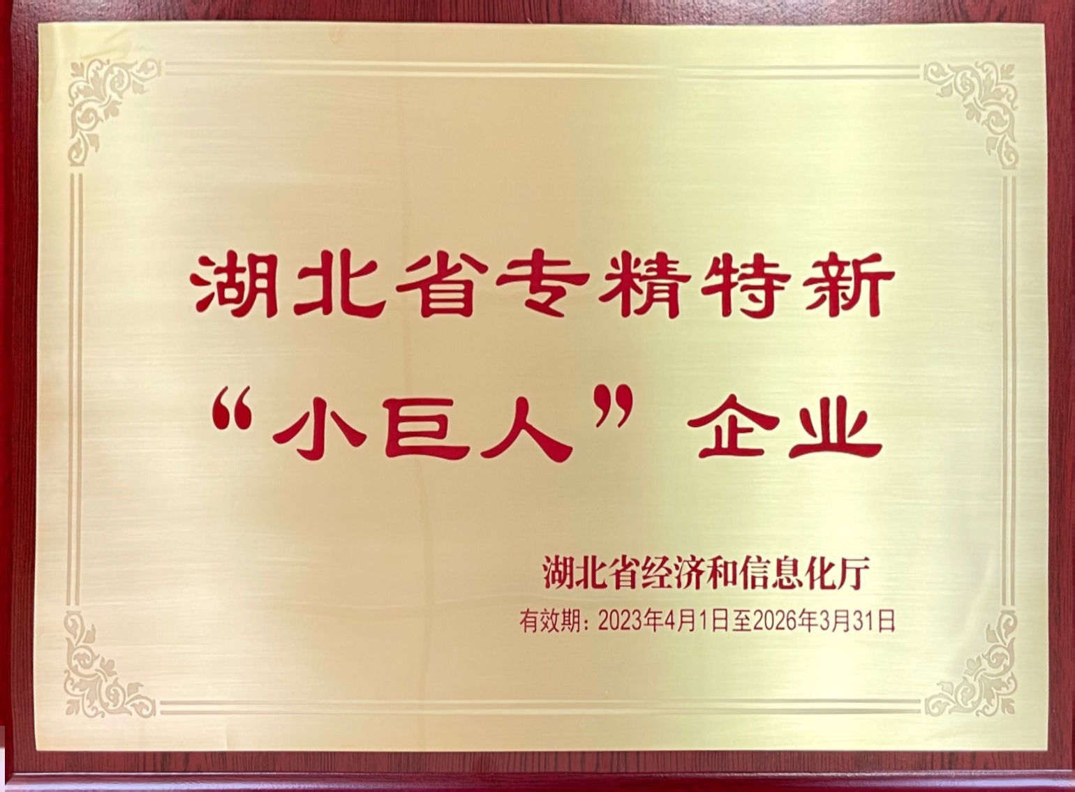 湖北省專精特新“小巨人”企業
